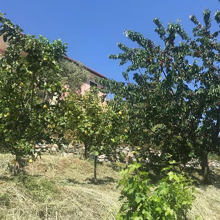 Villa Teresa Casarza Ligure Exteriér fotografie