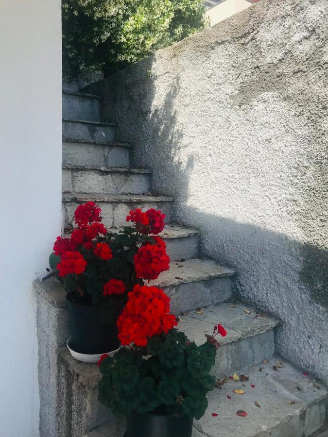 Villa Teresa Casarza Ligure Exteriér fotografie