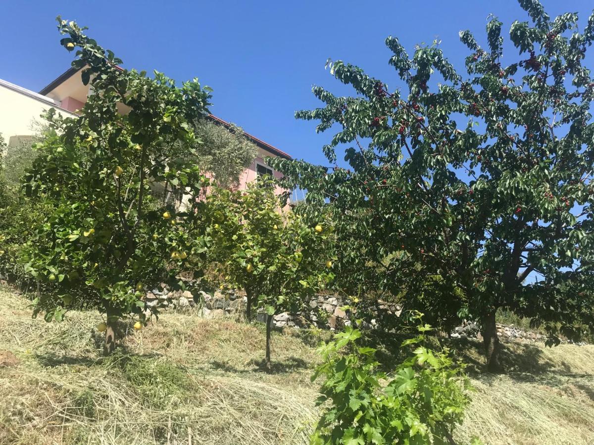 Villa Teresa Casarza Ligure Exteriér fotografie