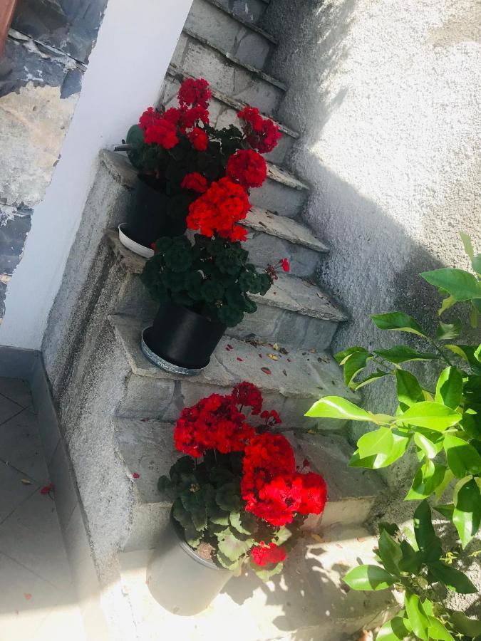 Villa Teresa Casarza Ligure Exteriér fotografie