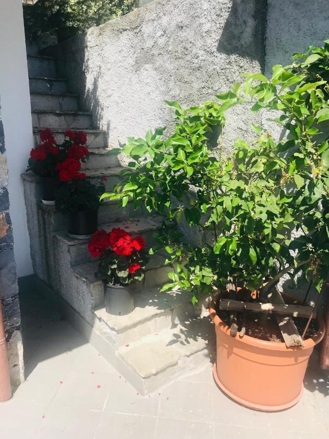 Villa Teresa Casarza Ligure Exteriér fotografie